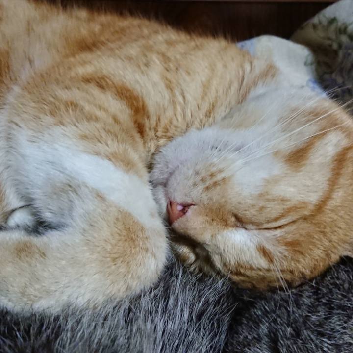 98ca8219 f75c 45b4 b922 0b2ec8adfd7f 1583154493748