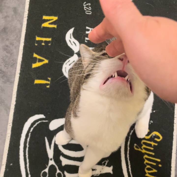 98ca9935 6d29 4598 bca2 6f5f944ffe0c 1745158050319