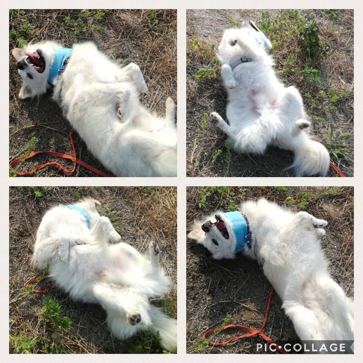 98ca9be9 3e99 45f6 be98 44a86d28262c 1531973349009