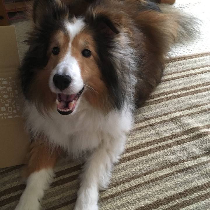 98cb03ad 7aa9 4949 af87 3bfec05e5519 1757412339061