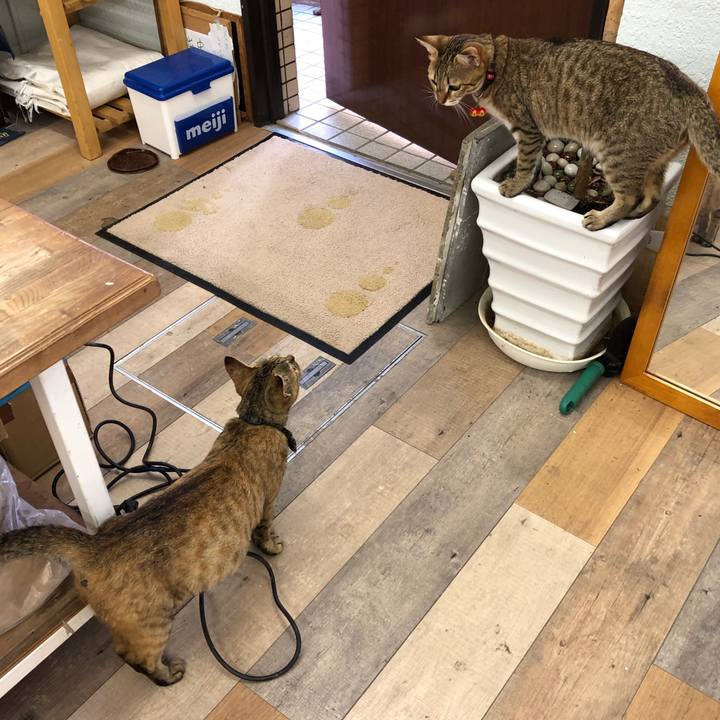 98cb186c 458b 4687 9ca6 1c4bc70c002d 1596257744727