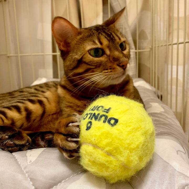 98cb5939 2c08 4f12 aaa0 3c8d72edeeed 1564797212203