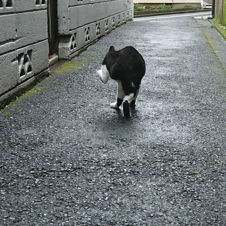 98cb8001 1fe1 4173 ae20 acd8dc2e62a5 1695440594494