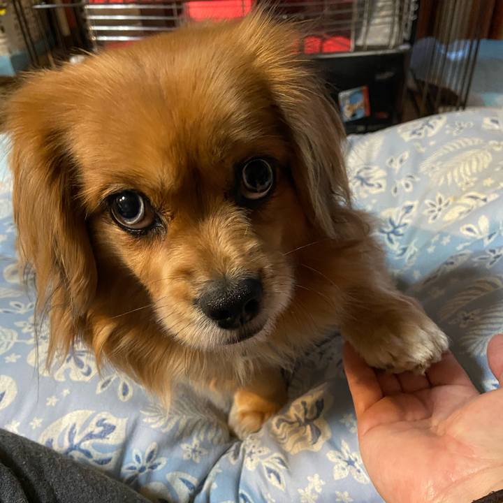 98cb9de0 4a1f 4fd3 9061 3ca7aecee6ac 1611610866628