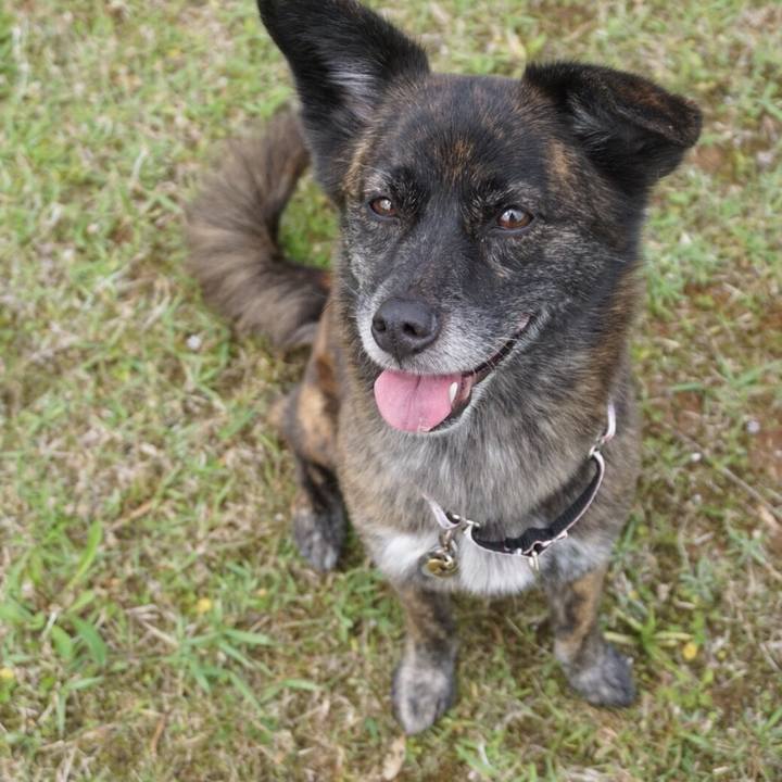 98cba1e8 7d3f 4afe 860d 97f53db370bf 1529139162899