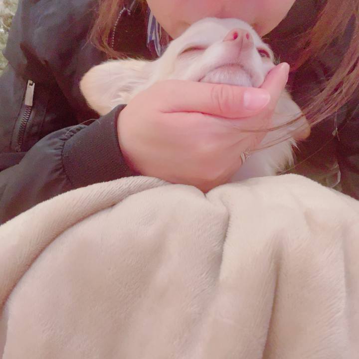 98cc1a69 5003 4369 b387 e6106c0265c5 1701335130455