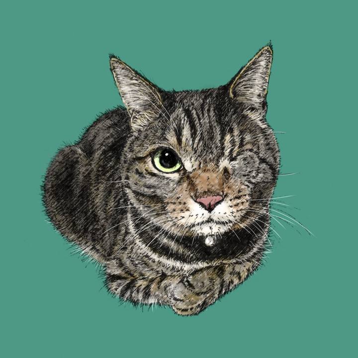 98cc3198 fb8c 4bfa b95d 386c19ed4c34 1692887074827