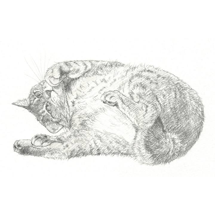 98cc3342 6b9d 4cd6 8bdc 986e59137493 1549463509648