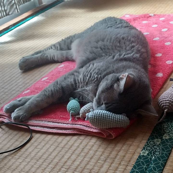 98cc6827 aa25 4c58 ba63 780d0ba553c8 1664668678785