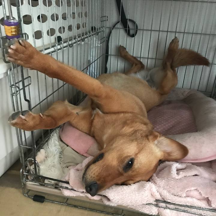 98ccb7b2 12c2 40a2 8793 370f03842b12 1527245973042