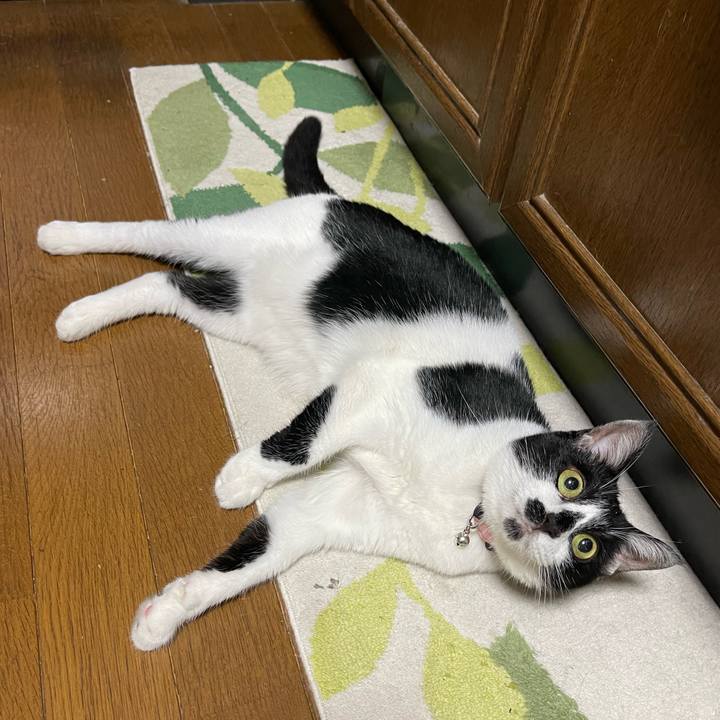 98cd08a1 564c 4f9d aba0 9fbfc6fce927 1753587872082