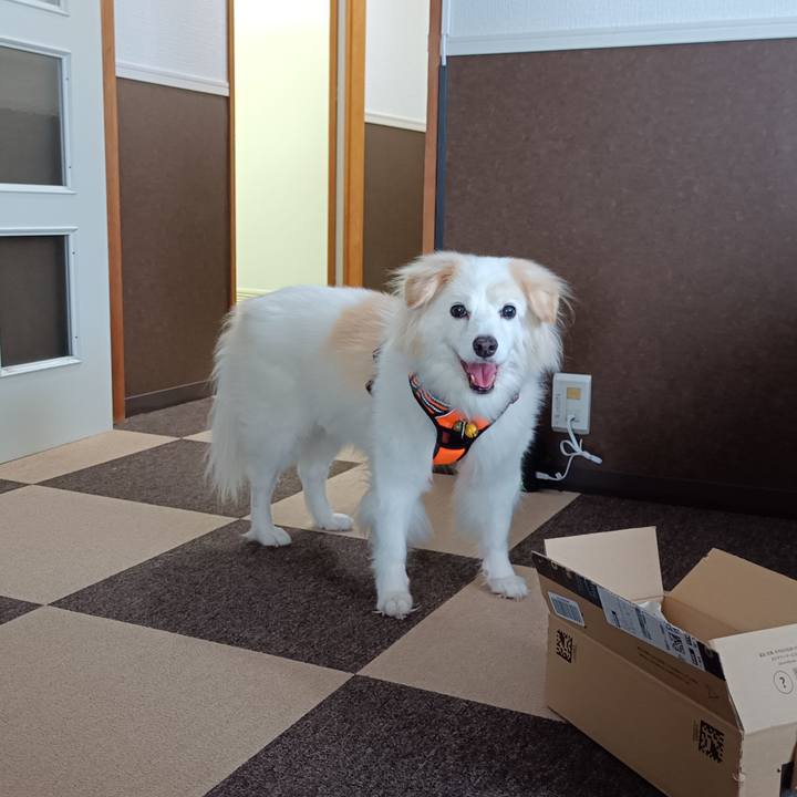 98cd0bfb fe04 45a4 b21f 034810b13b60 1725587222055