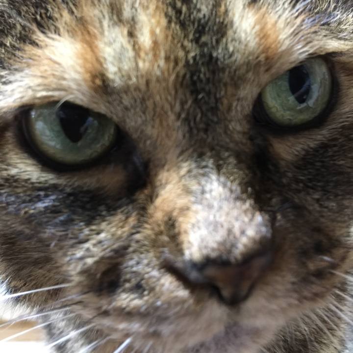 98cd129c c9aa 4577 a3f1 b97bb9b7cd6d 1508938770632