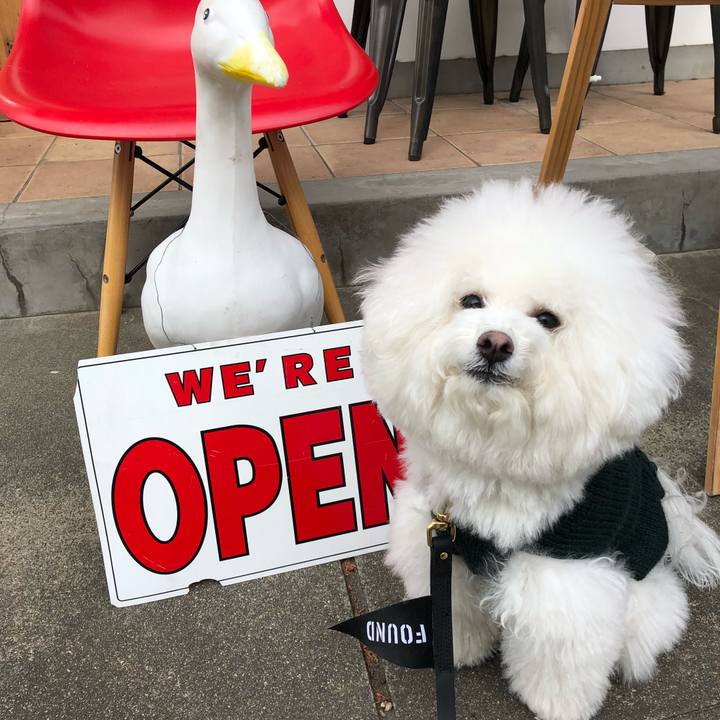 98cd7b37 9610 4680 9537 d23209f6ad00 1515454210787