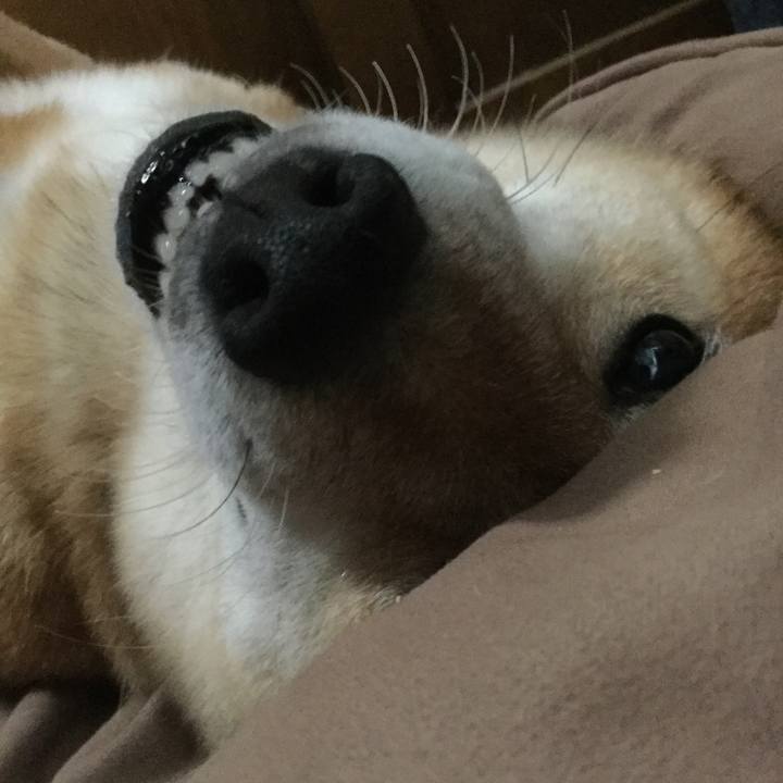 98cd9730 a608 4d50 adb7 c8f07291db5e 1564651854331