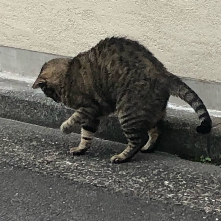 98cda7f2 5d77 4a1a be59 d1f8cbe1f241 1561118493354