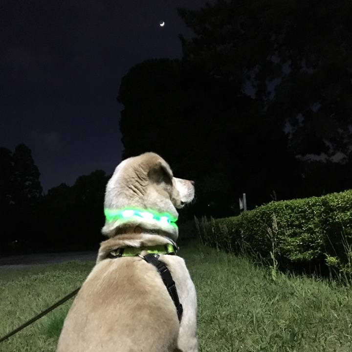 98cdba45 9703 4d0b 9571 e6863259be5a 1524142451435