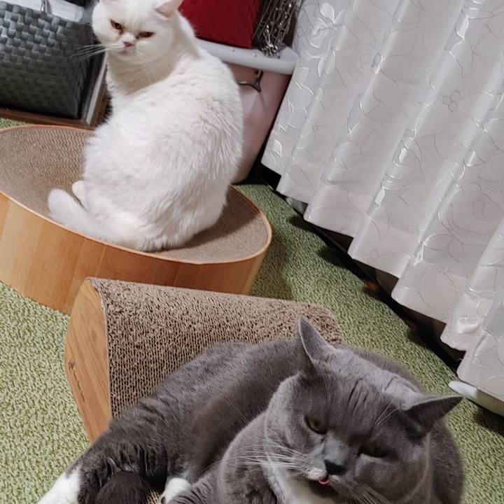 98cddc78 5ff5 47fd a770 efecc5a74949 1659787274107