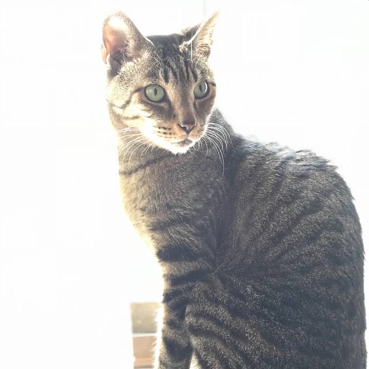 98cde05a bfa1 4af6 8131 85c5be01bf02 1520039883745