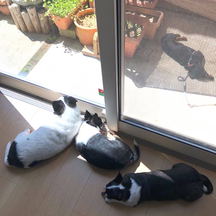 98cde6b1 01c0 4b8e b934 4b5eb22bb3a3 1530241077642