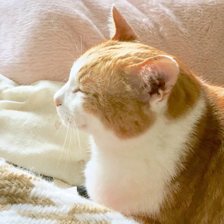 98ce168b cb34 43b9 885d 11eb55871b40 1563434243201