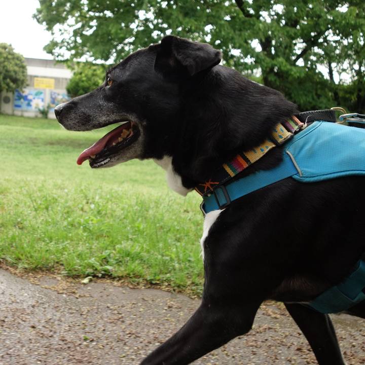 98ce1b4f ed0a 49dc a7c9 385b6ab1b9ea 1714437796839