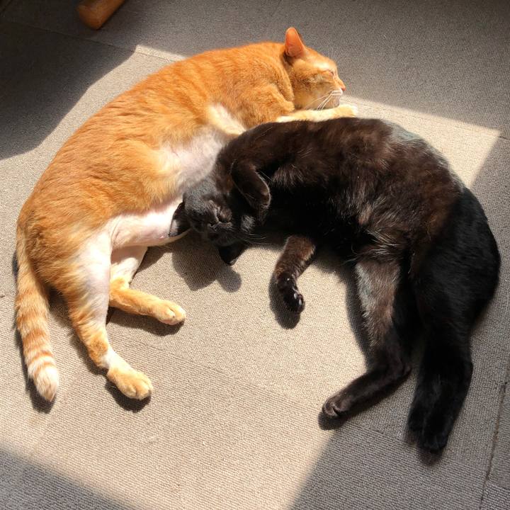 98ce214c 172b 4da2 a7d5 729c125e6cc9 1688256495106