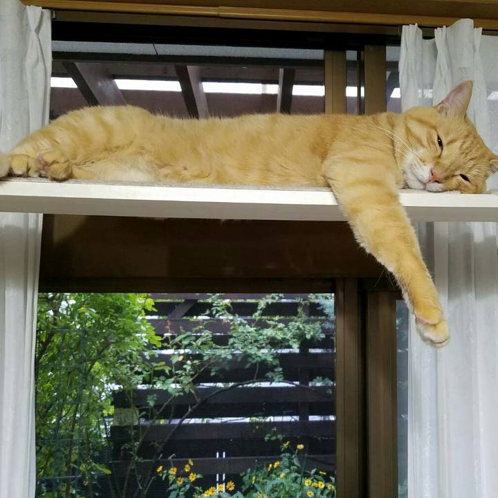 98ce47ff 4177 4560 b95d fa68f300e239 1535501818152