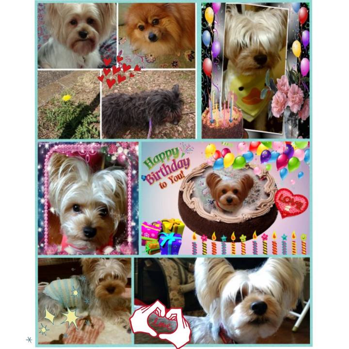 98cea7fc 6259 44c1 9526 a1a4188d94e7 1545316157729