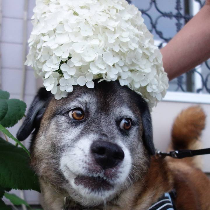 98cea94d 6c62 43bc 8b60 26e7452ea125 1529838648539