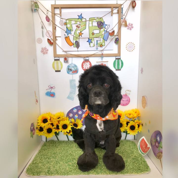 98cee08e f2a4 418e 8da8 a0b3ef031c19 1563877096818