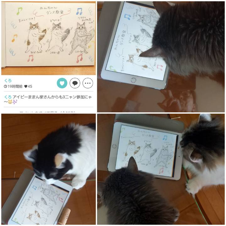 98cee96a d00d 4b61 b9e6 1f09c88dea71 1644548803462