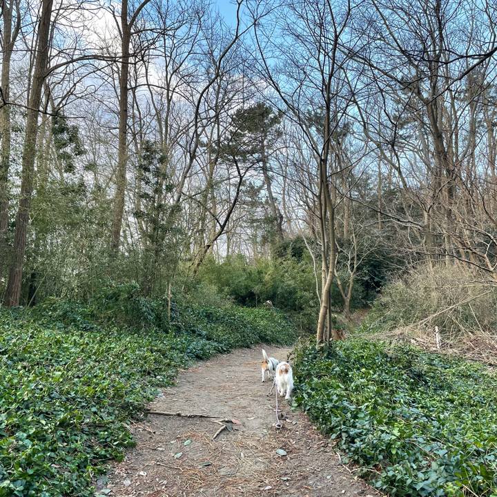 98cf0183 d076 4986 956c c34e242f3abe 1643241222664