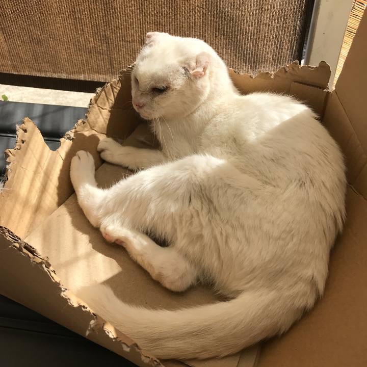 98cf3653 c09b 4a2d ab37 f1571354bc4a 1570249457724