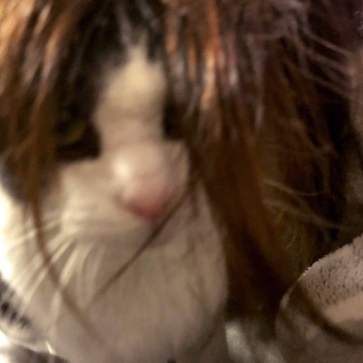 98cfdb5b 699b 4bfd af9d 49ff0b823186 1547085619356