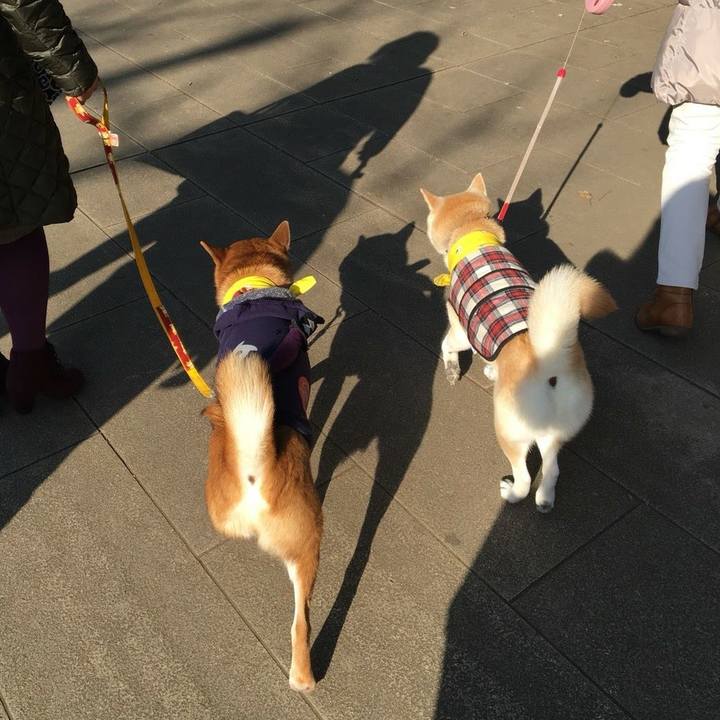 98cfdf29 7d40 474b 93f5 ff1f884a07d6 1678795059912