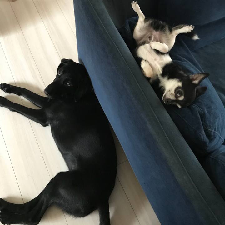 98cffbfc fe02 4188 8ce3 f676d5454175 1530571470210