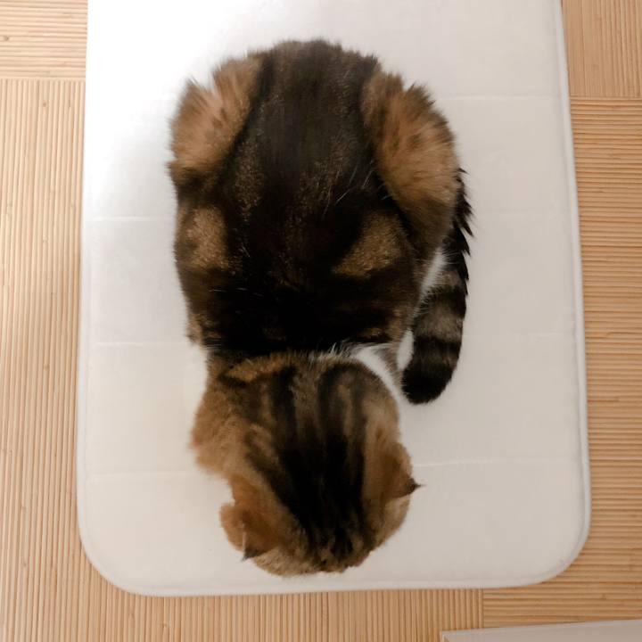 98cffeef 316b 47d0 ad3d c751b18a5dfe 1584370287093