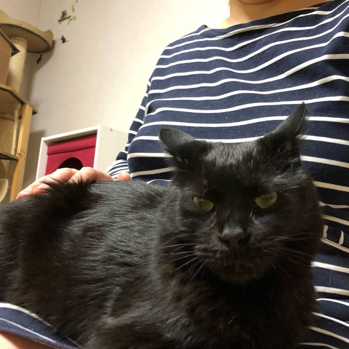 98d0855b 9c32 4264 ab61 488d3ecb29fa 1583931673051