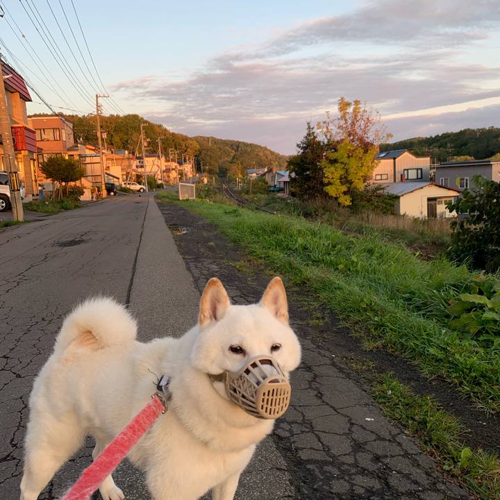 98d087b8 63db 4a4c ab18 cc78668deb79 1602195197456