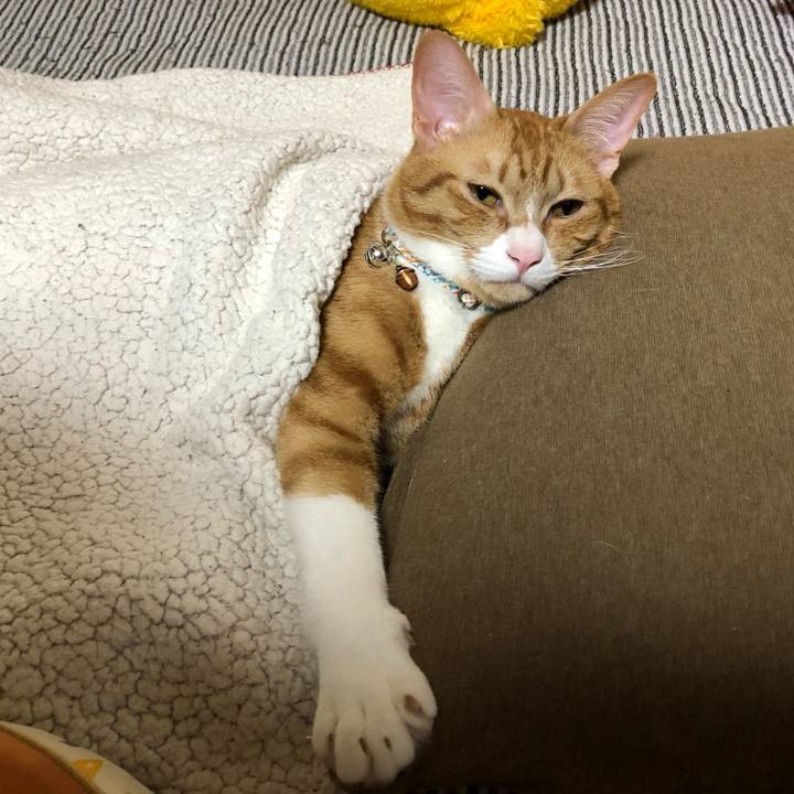 98d0f0c2 b3a1 4bbf 98e4 3a9ea45f4b55 1560928874900