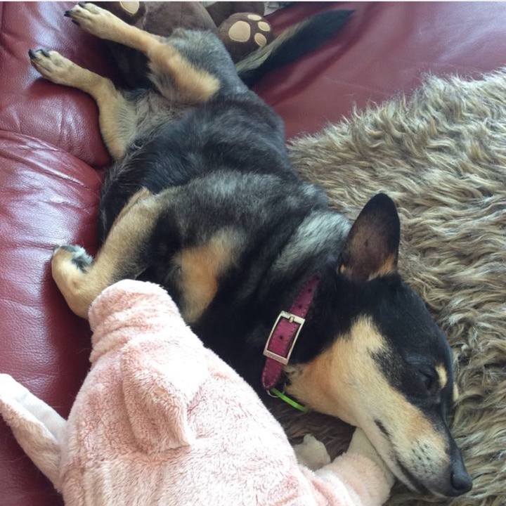 98d128bf 951a 4168 a593 1c66e6363794 1758804708486