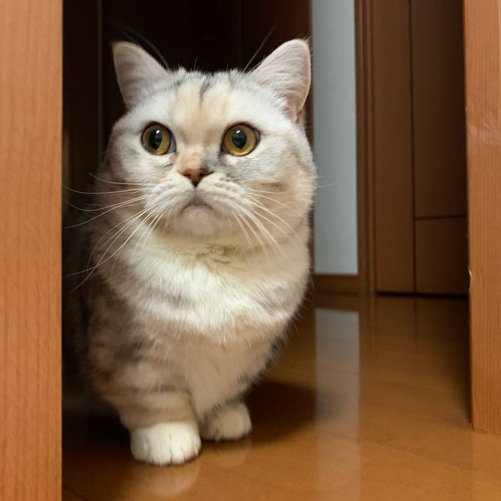 98d13a18 1376 40c7 83a1 d65ec51da778 1709554135988