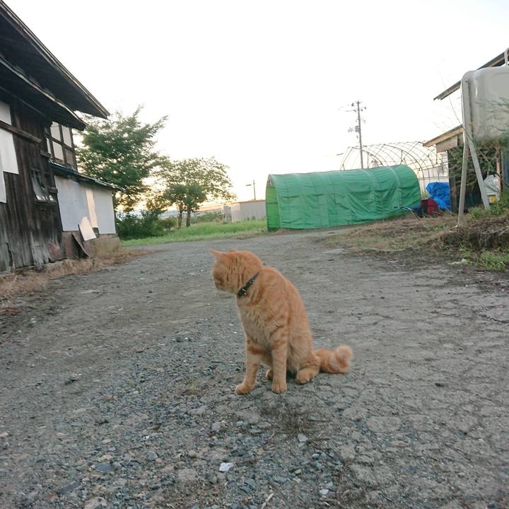 98d13d7c c0dc 407a b166 61d22080c76d 1659213754826