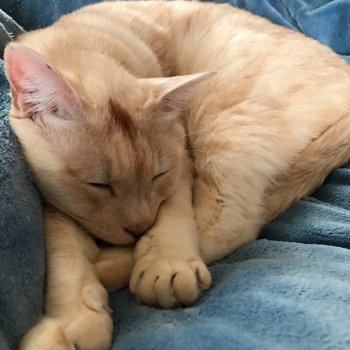 98d1e613 56dd 4f5d 931c 150f7ddabce7 1608007768185