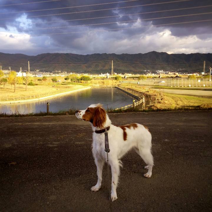 98d22af9 be70 4c91 b42c 35e7a8c7986b 1512127517544