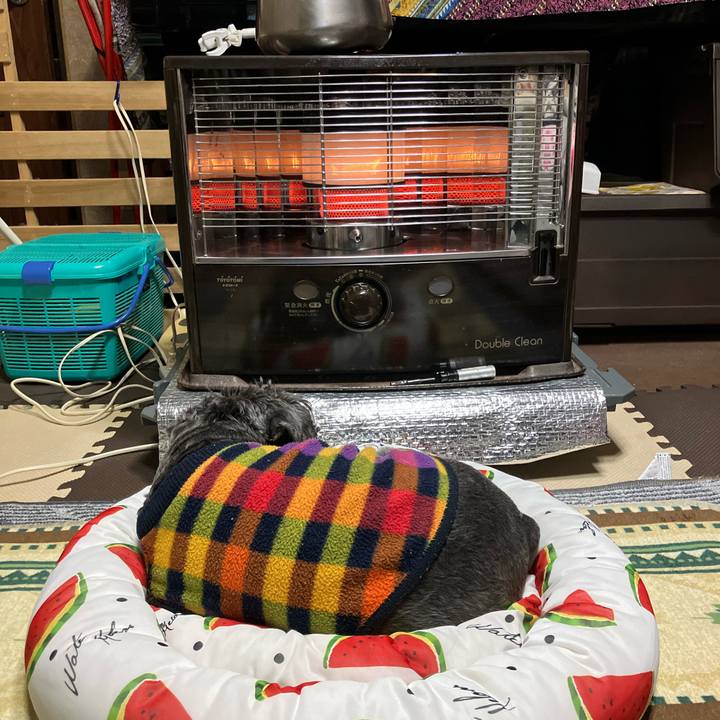 98d23dd0 a993 4d42 a32d 6364e59468b2 1732025169129