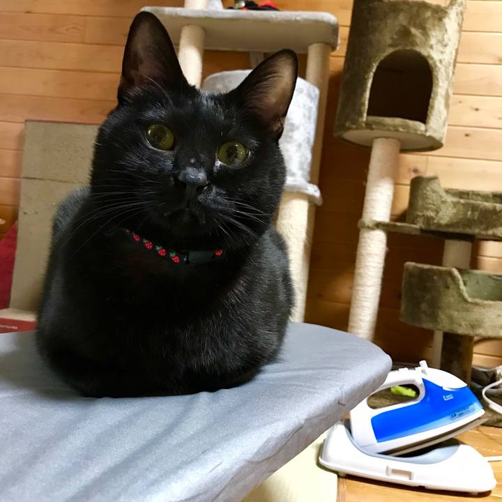 98d25887 360e 4fa8 8aa8 07ad49281403 1550737679682