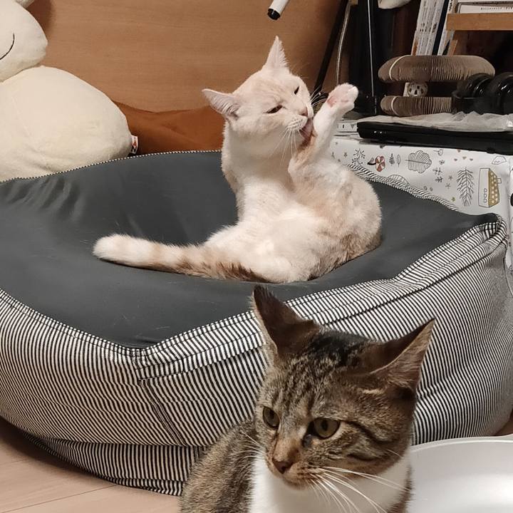 98d28175 ab2f 4d22 be07 1f95f1c9ef12 1667822823744