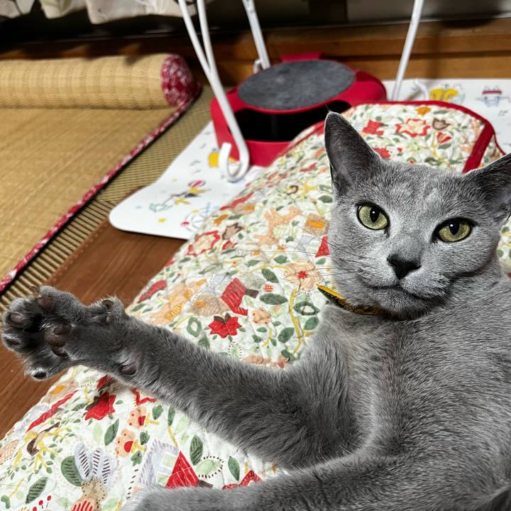 98d288e0 d381 477c 9414 0f76a77c1684 1656678762227